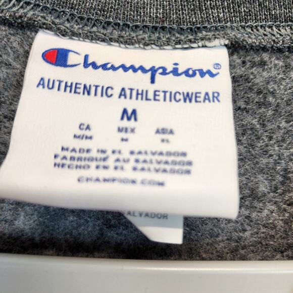 Southeastern University Crewneck Sweatshirt Size M Gray Gorp Casual Champion - Picture 9 of 10